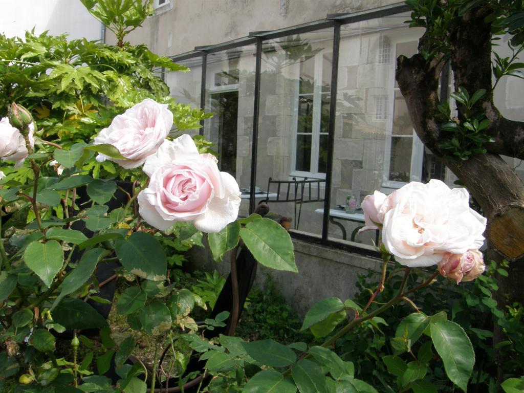 La Maison Douce Saint-Martin-de-Ré Екстериор снимка